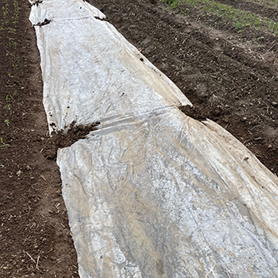 A second life  for old greenhouse plastic